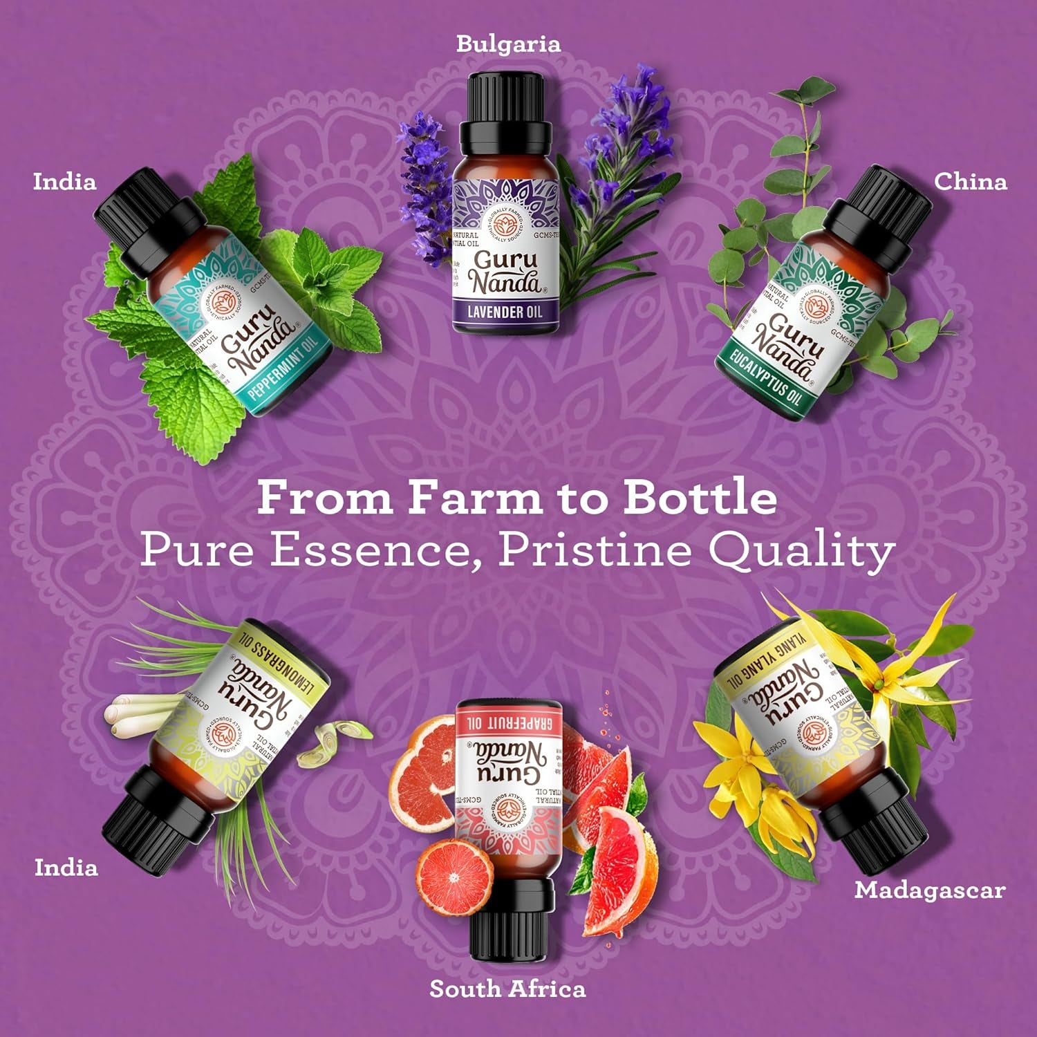 AuraBlends™ | 100% Natural Essential Oils Premium Set (6-Pack)